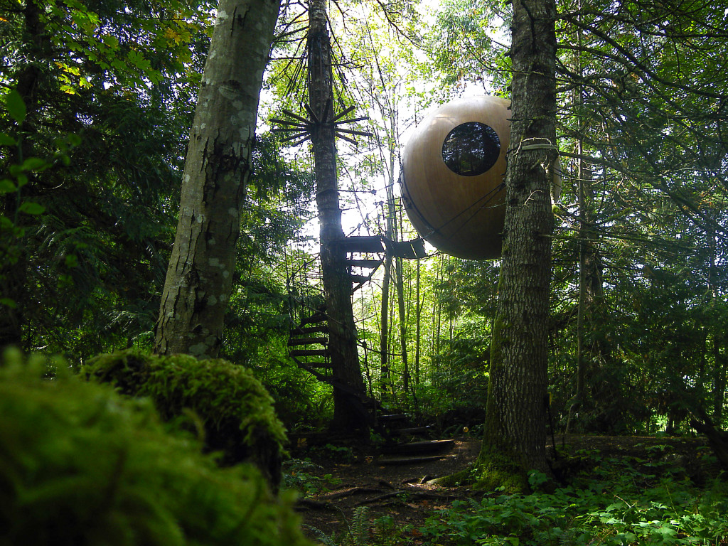 Treehouse from Free Spirit Sphere - Photo by Tom Chudleigh.